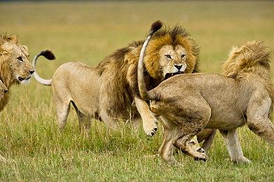 《收获日3》还未发售 就已经移除了D加密